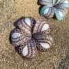FPLU60SA : PLUMERIA60SA (8 CM)