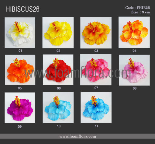 HIBICUS26 colorchart