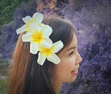 Handmade plumeria hair pick worn in a dancer's hair