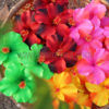 FHIB30 : HIBISCUS30 (7.5 CM & 11 CM) - Image 3