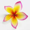 FPLU82NI : PLUMERIA82NI (14 CM)