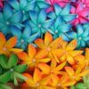 FTIA67-P : TIARE67-P (9 CM) - Image 6