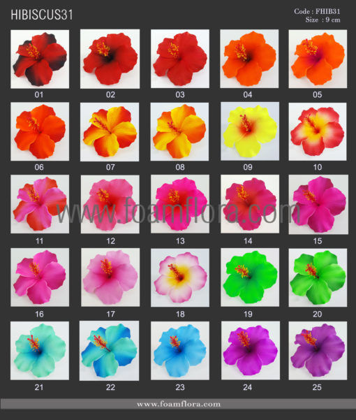 HIBISCUS31 colorchart