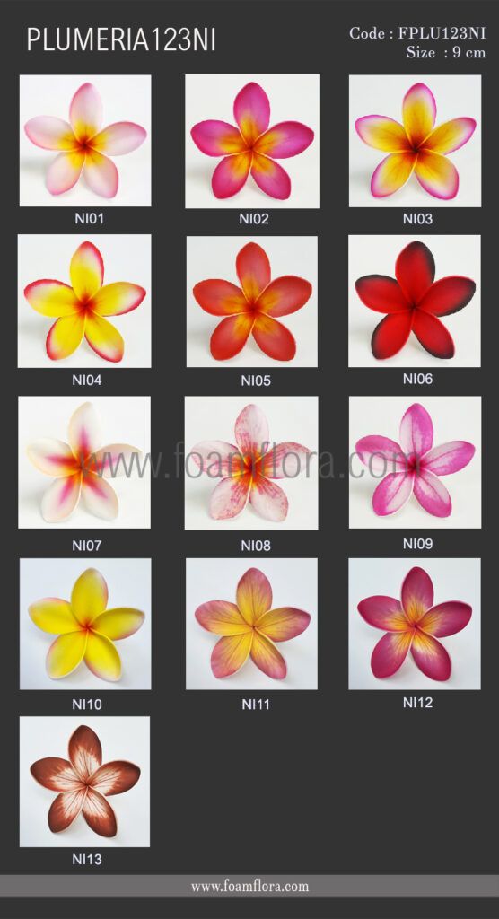 PLUMERIA123NI colorchart เพิ่ม