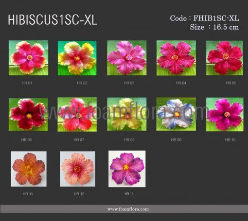 FHIB1SC XLcolor chart fhib1SC