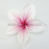 FPLU82BR : PLUMERIA82BR (14 CM)