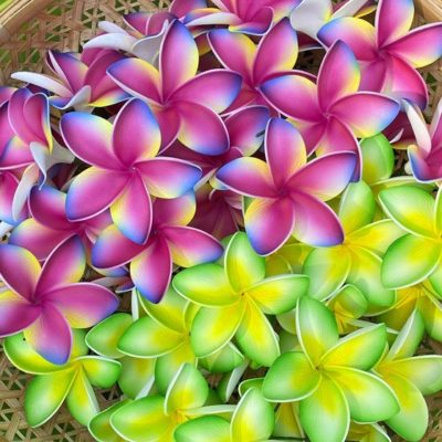 FPLU130 : PLUMERIA130 (8 CM)