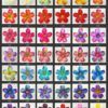 FPKK6 : PUA KENI KENI6 (7 CM) - Image 10