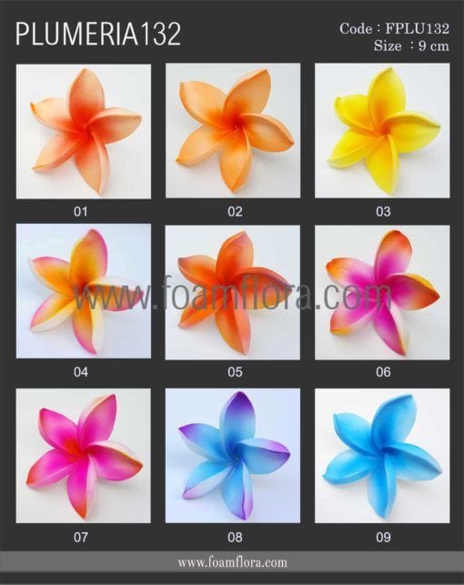 FPLU132 : PLUMERIA132 (9 CM) - Image 5