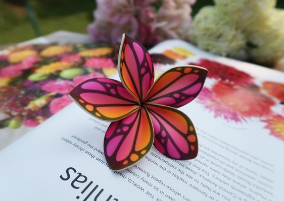 butterfly plumeria