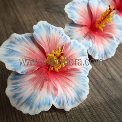FHIB10FI : HIBISCUS10FI (10 CM)