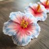 FHIB10FI : HIBISCUS10FI (10 CM) - Image 2