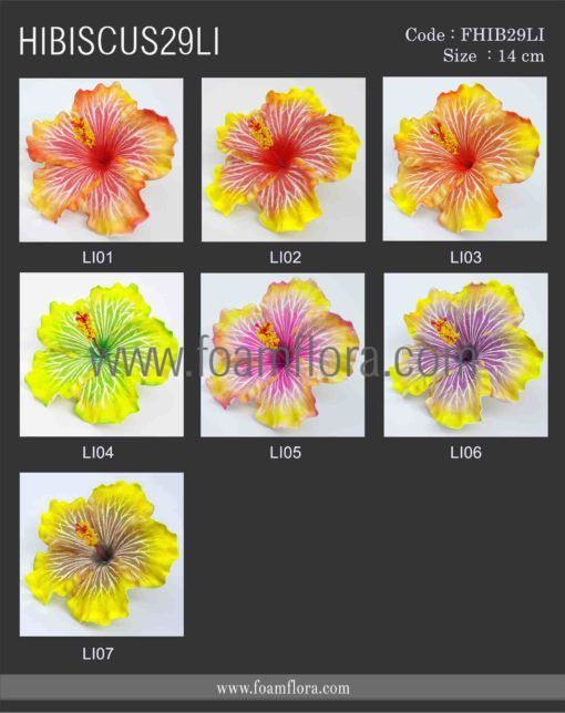 FHIB29LI : HIBISCUS29LI (14 CM) - Image 7