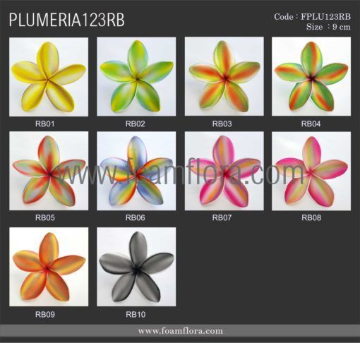PLUMERIA123RB CHART scaled