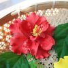 FHIB37 : HIBISCUS37 (11 CM) - Image 2
