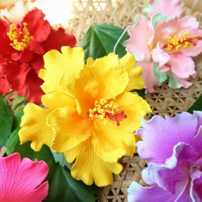 FHIB37 : HIBISCUS37 (11 CM)