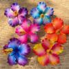 FHIB36 : HIBISCUS36 (11.5 CM) - Image 4