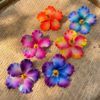 FHIB36 : HIBISCUS36 (11.5 CM) - Image 3
