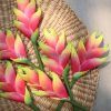 FHEL01 : HELICONIA ( 5*8 CM) - Image 3