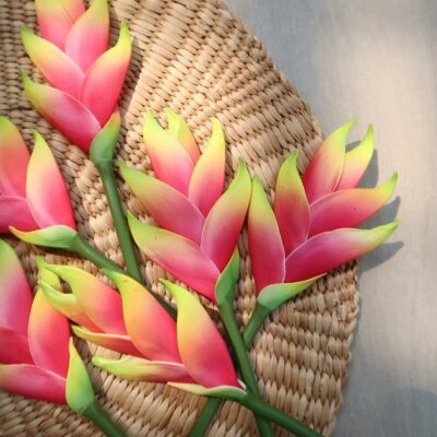 FHEL01 : HELICONIA ( 5*8 CM)