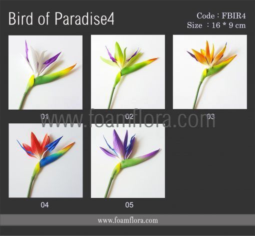 FBIR4 bird of paradise4 CHART