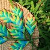 FHEL01 : HELICONIA ( 5*8 CM) - Image 4