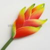 FHEL01 : HELICONIA ( 5*8 CM)