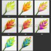 FHEL01 : HELICONIA ( 5*8 CM) - Image 5