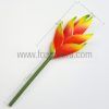 FHEL01 : HELICONIA ( 5*8 CM) - Image 2