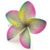 FPLU129G : PLUMERIA129G (7.5CM)