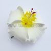FHIB40 : HIBISCUS40 (8.5 cm)
