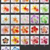 FOHI4GY: O HAI ALI'I4GY (10CM) - Image 6