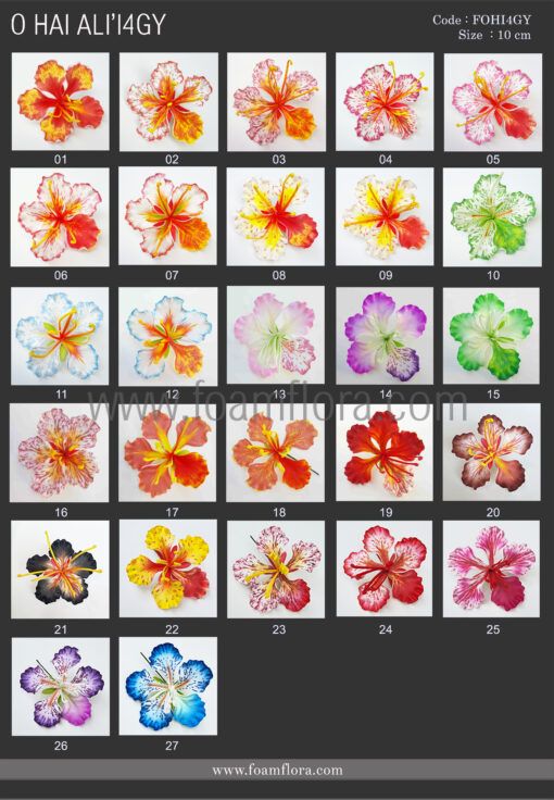 FOHI4GY: O HAI ALI'I4GY (10CM) - Image 6