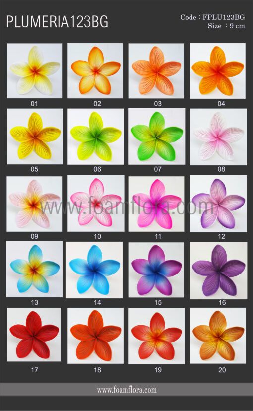 FPLU123BG : PLUMERIA123BG (9CM) - Image 4