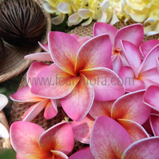 Handmade natural look pink plumeria hula flowers