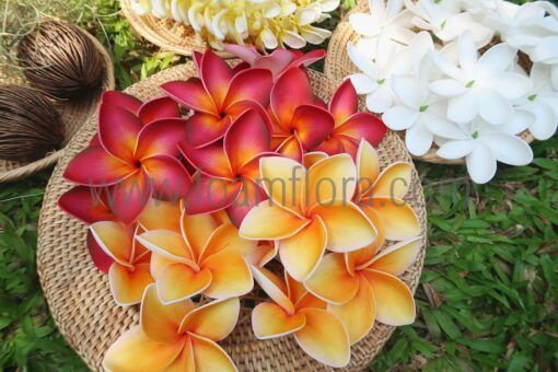 Handmade natural look yellow and red plumeria hula flowers