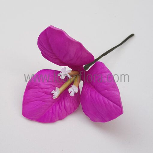 FBOU1 : BOUGAINVILLEA (5.5CM)