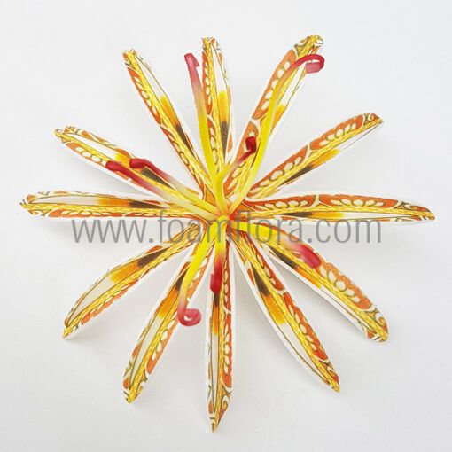 FSPLD6TT : DOUBLE SPIDER LILY6TT (10CM)