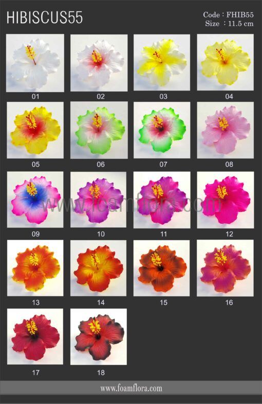 FHIB55 : HIBISCUS55 (11.5) - Image 4