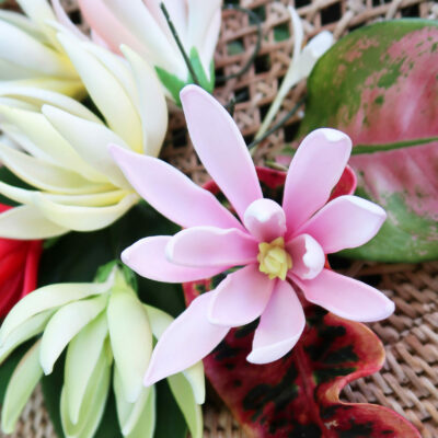 FYLA01 : YLANG YLANG01 (7.5CM)