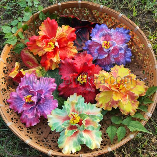 Colorful double hibiscus flower pick for hair