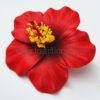 FHIB58 : HIBISCUS58 (8.5CM)