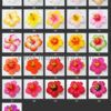 FHIB58 : HIBISCUS58 (8.5CM) - Image 2