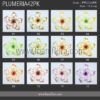 FPLU42PK : PLUMERIA42PK (8.5CM) - Image 5