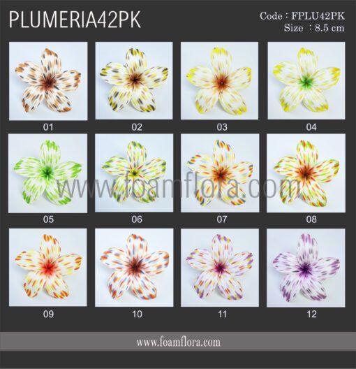 FPLU42PK CHART scaled