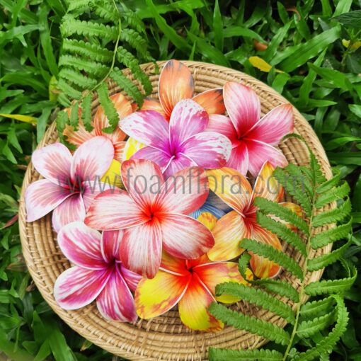 FPLU42RP : PLUMERIA42RP (8.5CM) - Image 2