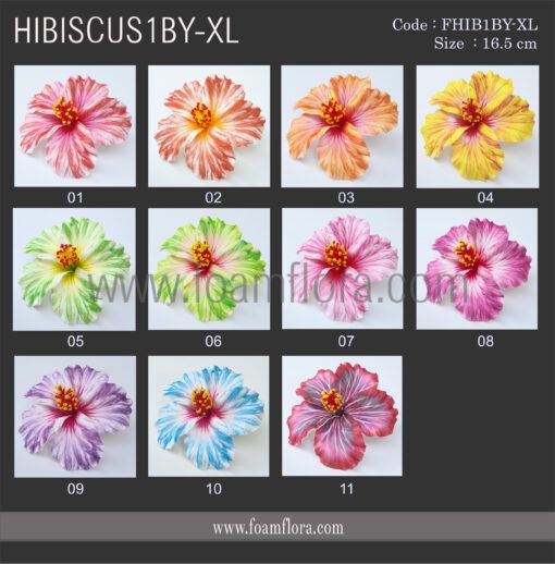 FHIB1BY XL CHART scaled