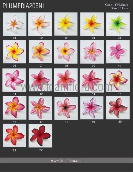 FPLU205NI : PLUMERIA205NI(11CM) - Image 5