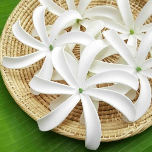 white Hawaii tiare flower pick for hair square