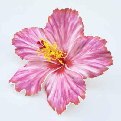 HIBISCUS 62 FHIB61DC : HIBISCUS61DC ( 11 CM )
